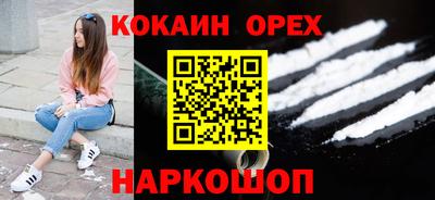 соль ск Сланцы
