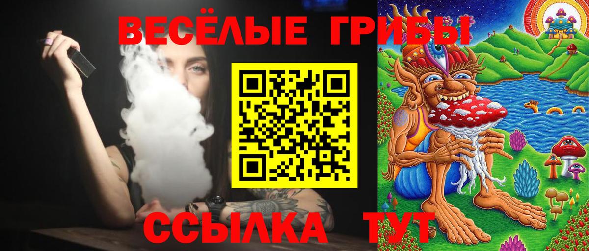 Ногинск  Галлюциногенные грибы Psilocybine cubensis  Вход с VPN 